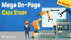 Mega On-Page Tool (Case Study) video thumbnail